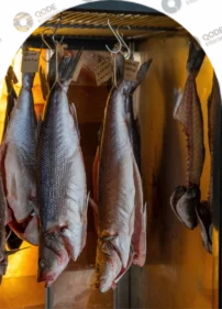 Denizden Restoran – hikaye dryaged kemer